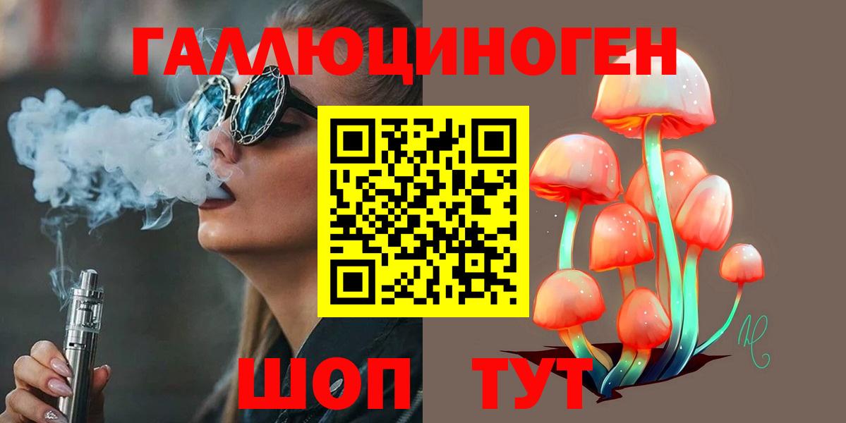 Псилоцибиновые грибы Cubensis  Вход с VPN  Славянск-на-Кубани 